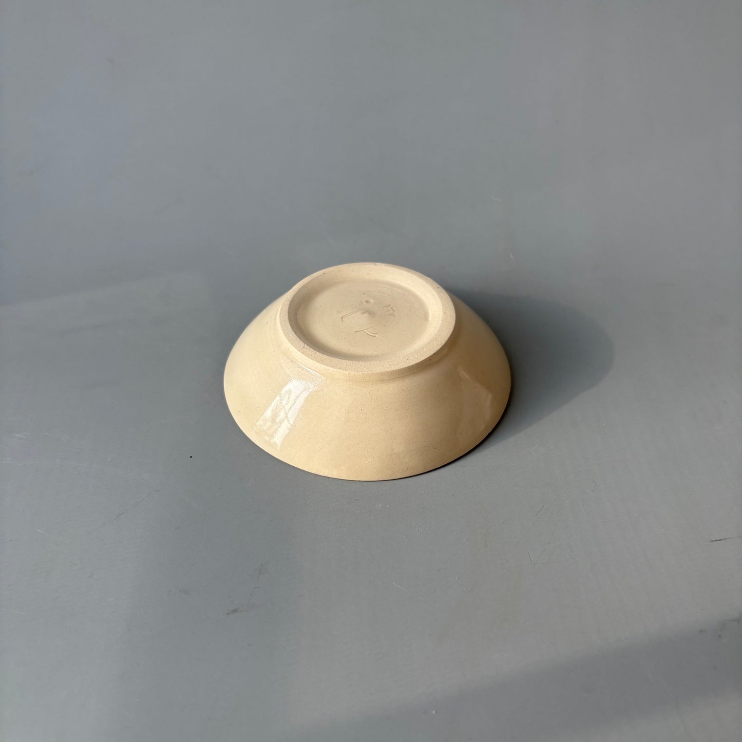 The IceCream Dish
